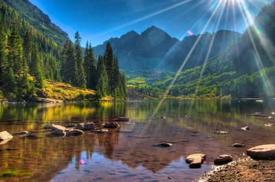gallery-slider