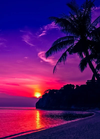 gallery-slider