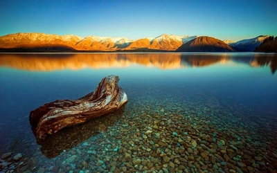 gallery-slider