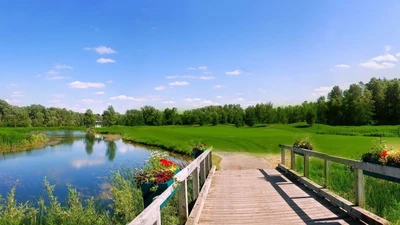 gallery-slider