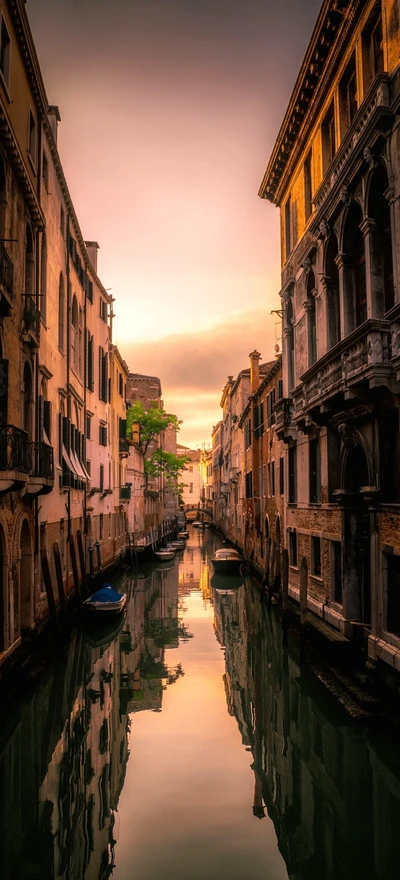 gallery-slider