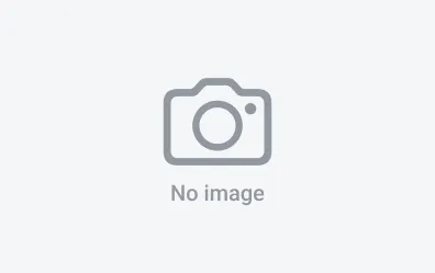 img-slider